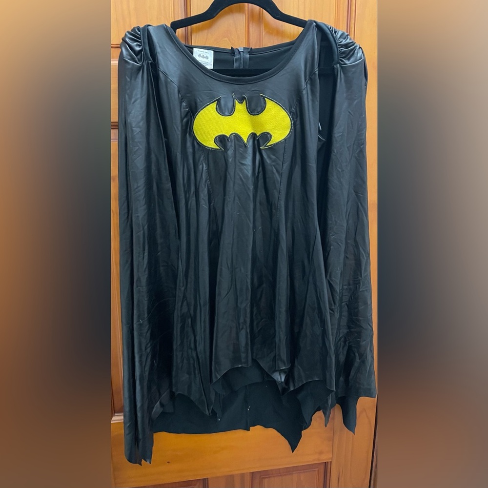 DC Comics Rubie's Batgirl Deluxe Costume for Adults Women's Bat girl Halloween - Picture 4 of 11